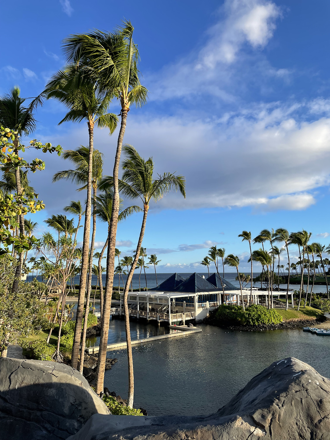 View from the Hilton Waikoloa Village