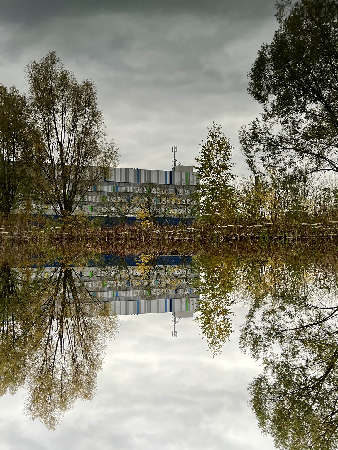 Modern building with blue, yellow and Green Glass, coloured trees, and clouds, reflected in the surface of a Small pond. The whole picture is turned upsidedown.