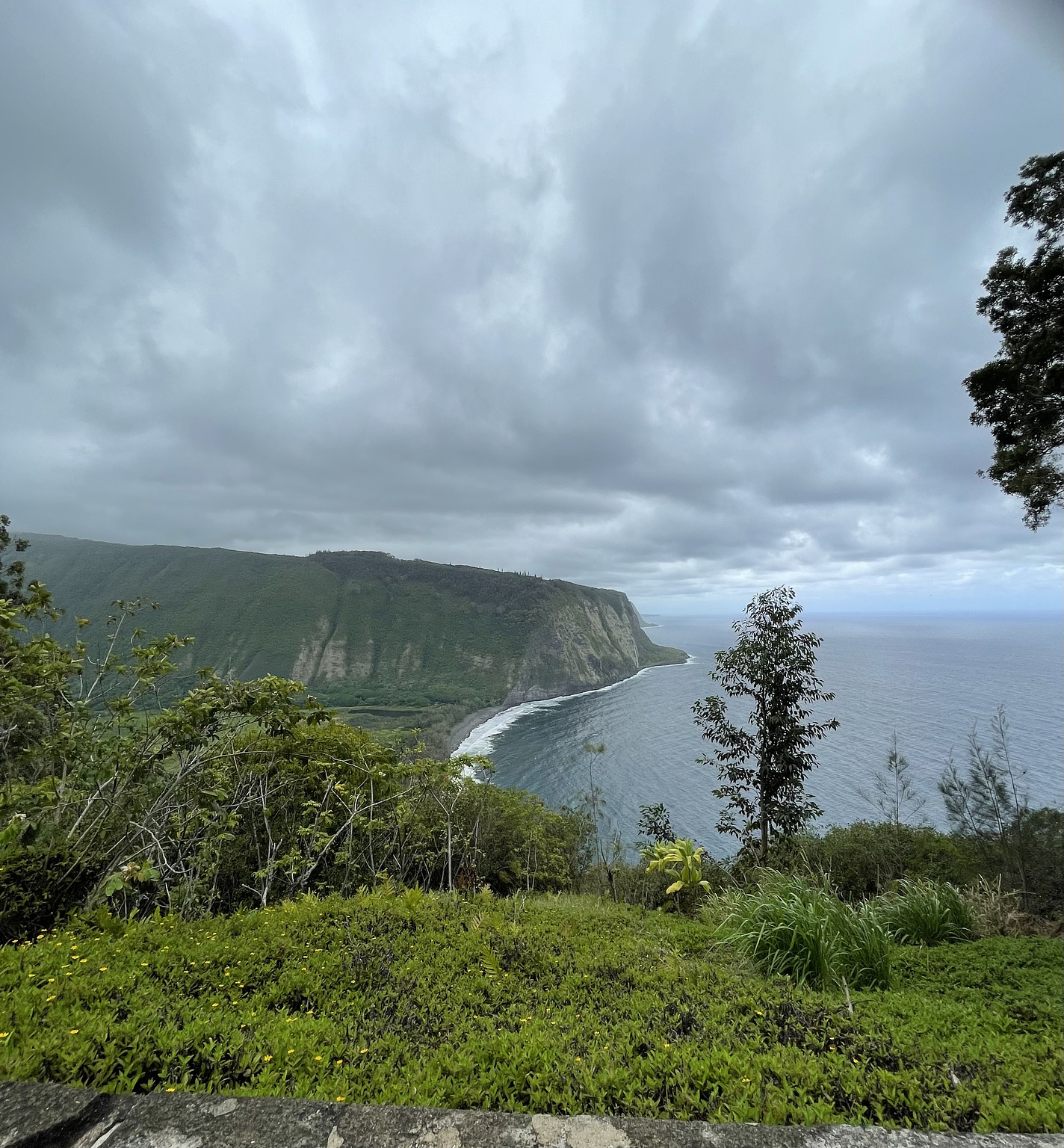 View from the top of Waipi’o Valley
