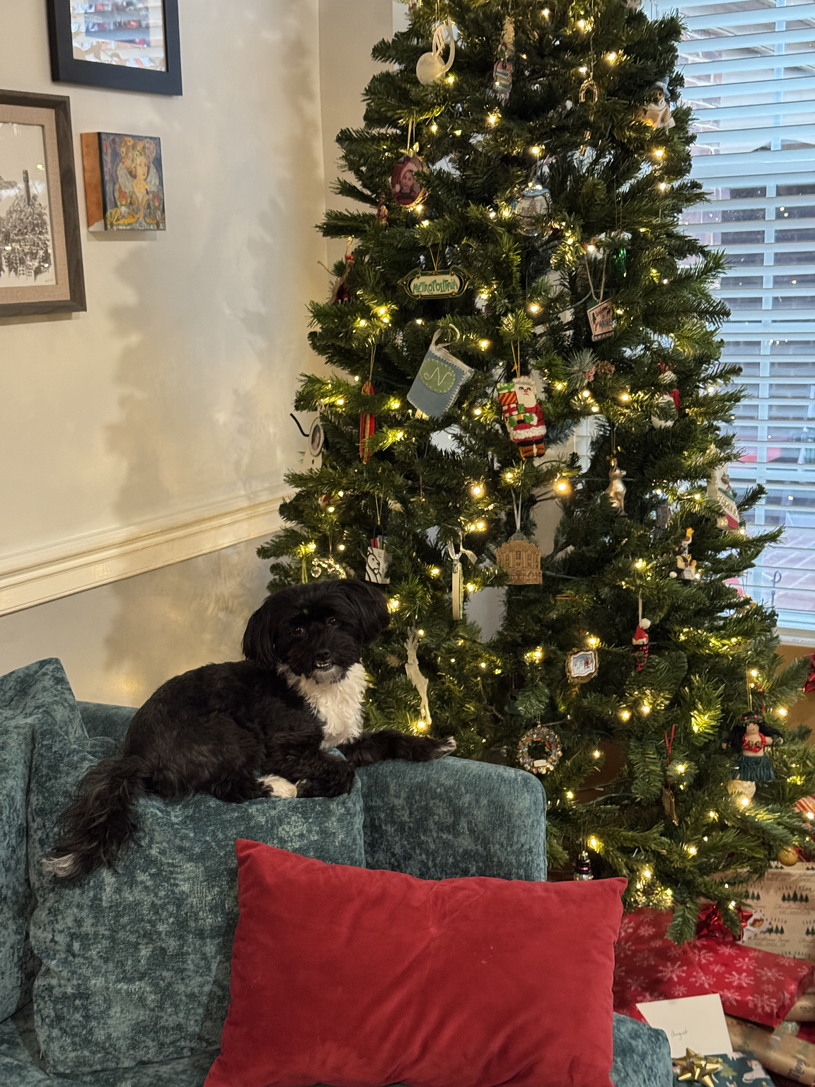 Izzy being super photogenic