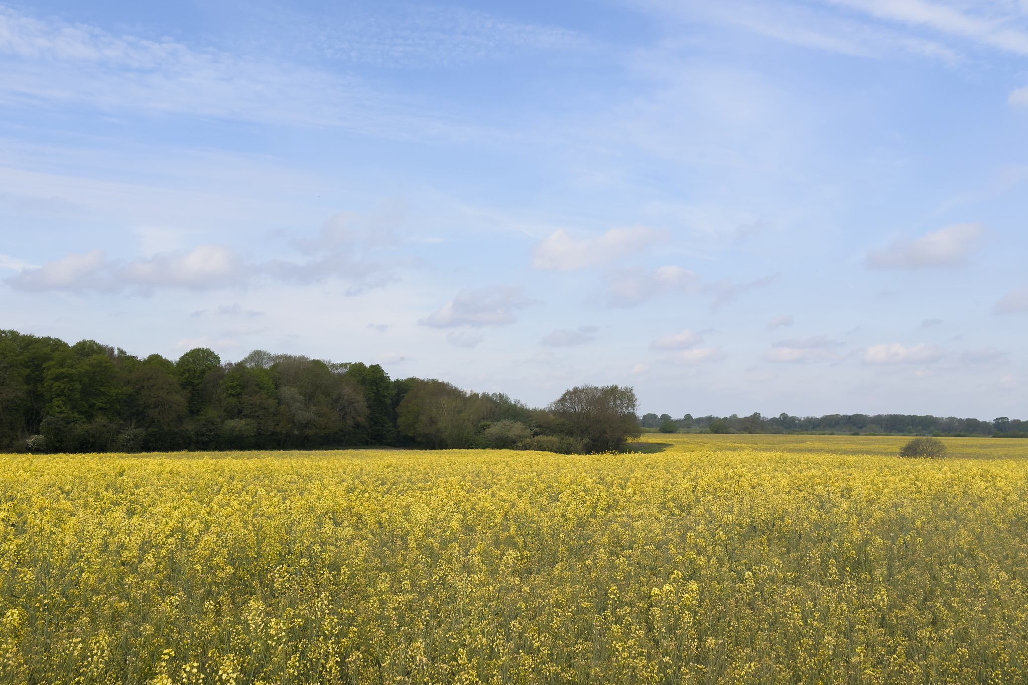 A Warwickshire field