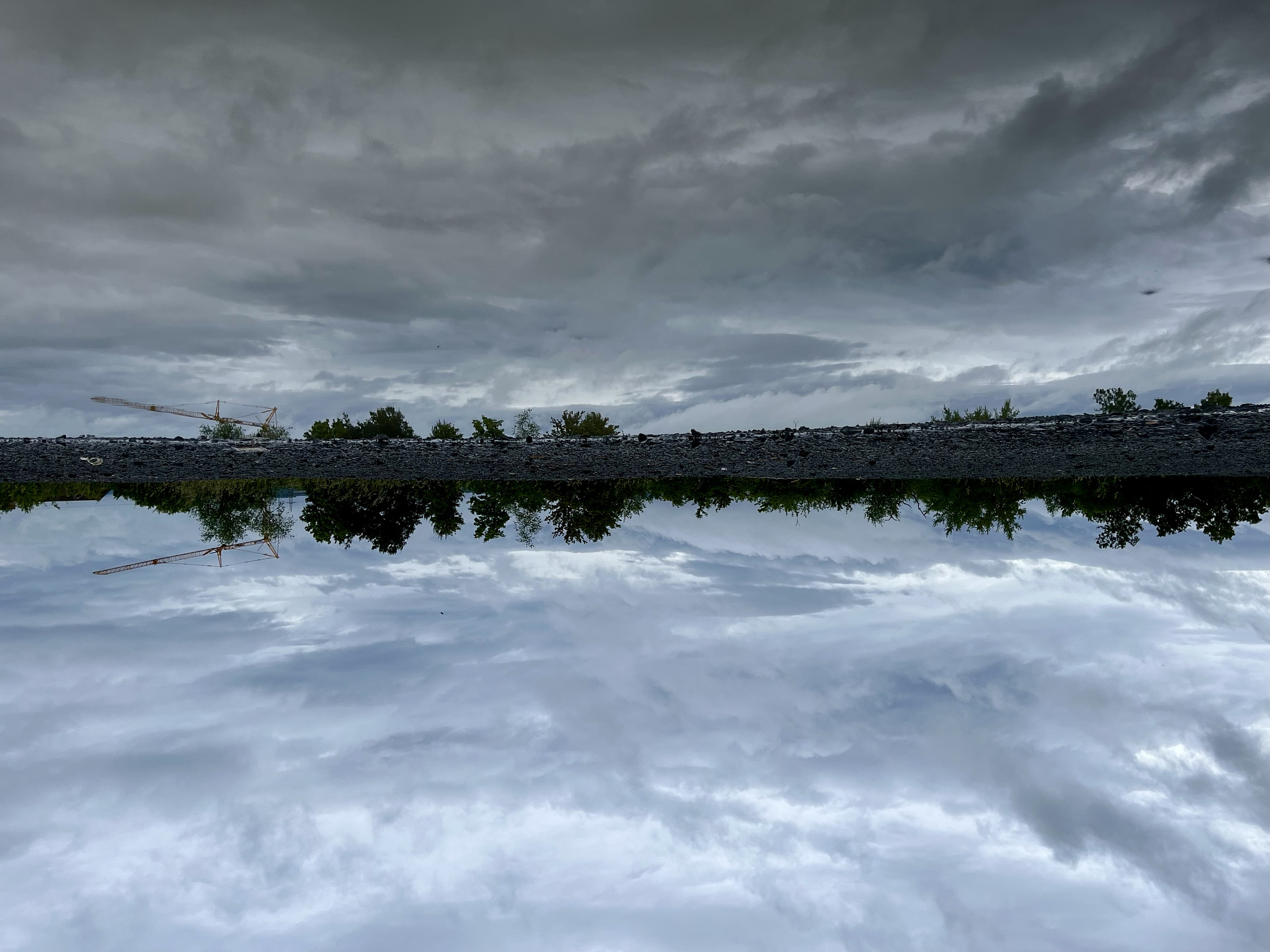 A few bushes and a very dramatic, cloudy sky, reflected in a puddle on a Gravel path. Mainly greyish colours. The whole Picture is turned upsidedown.