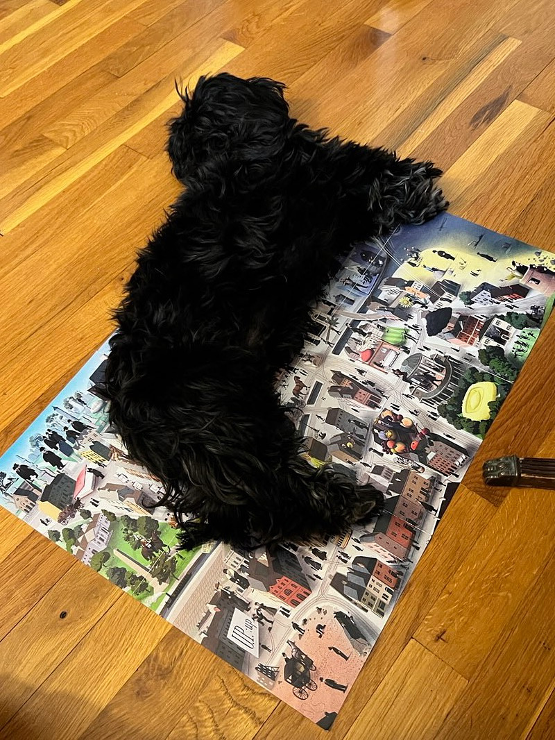 small black dog laying on a finished puzzle