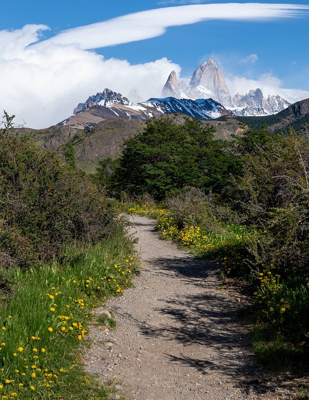 Path from the park entrance 