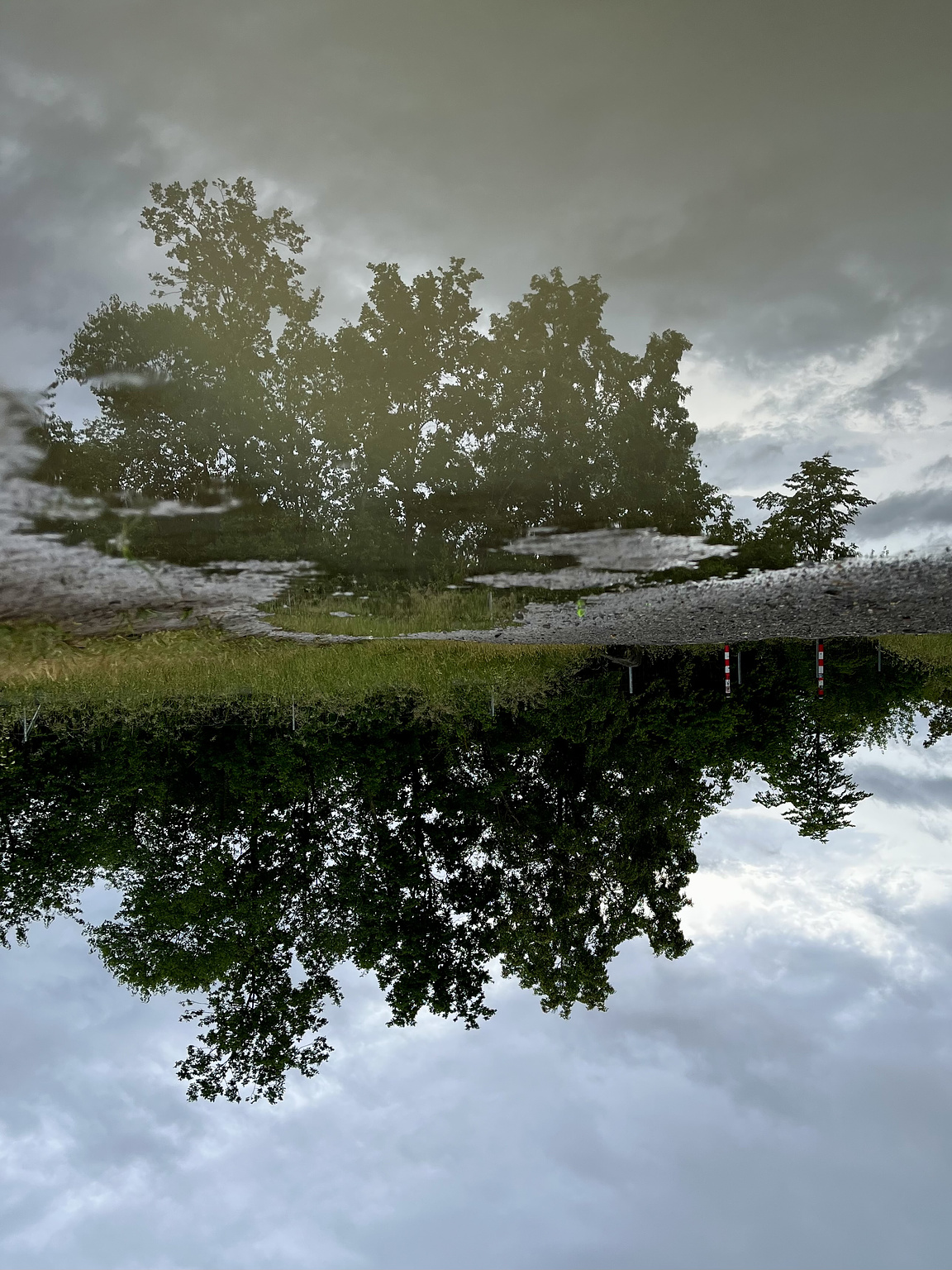 A few green bushes and a cloudy sky, reflected in a puddle on a gravel path. The whole Picture is turned upsidedown, so that it Looks Like an Island.