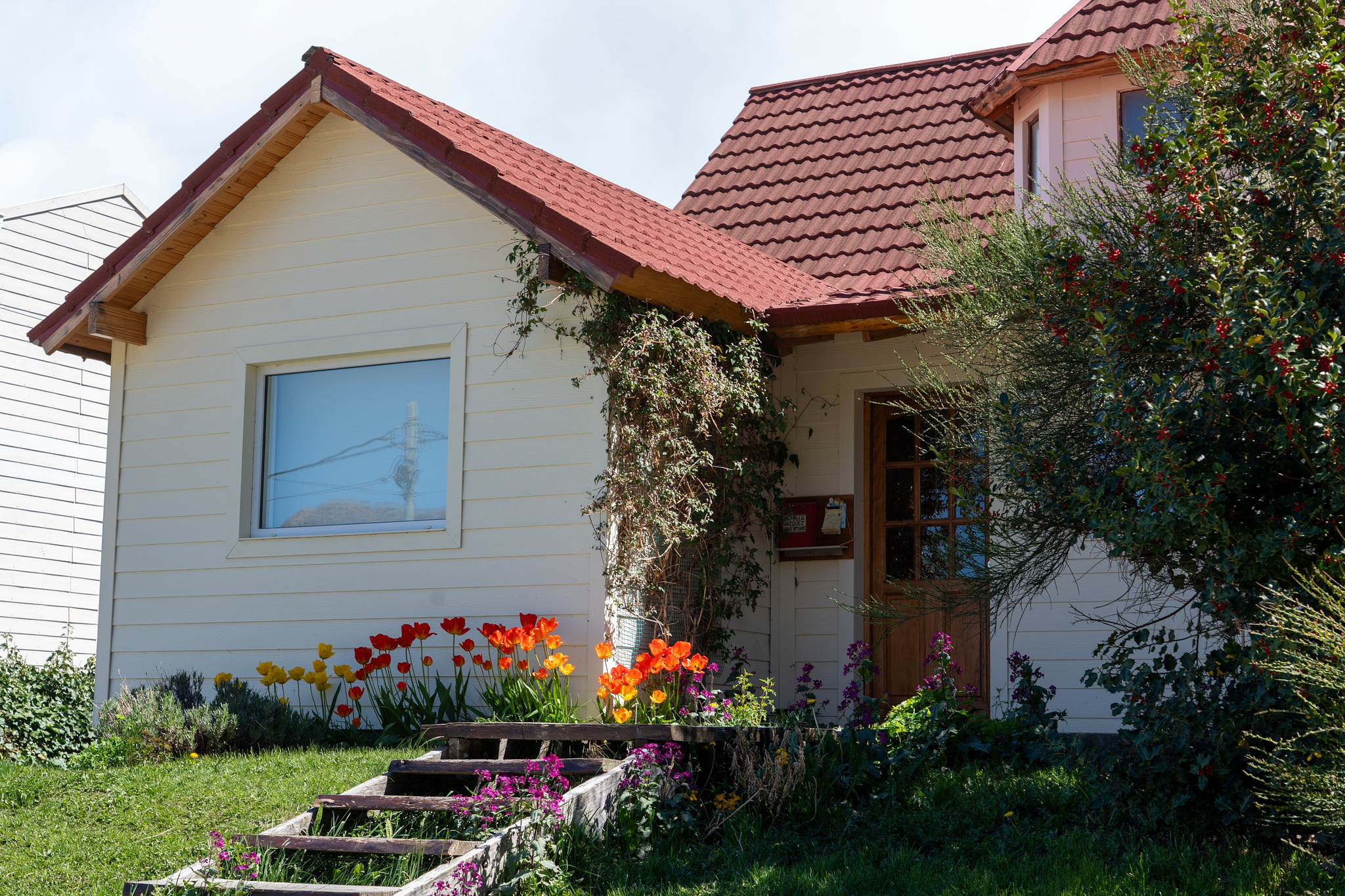 pretty house with flowers