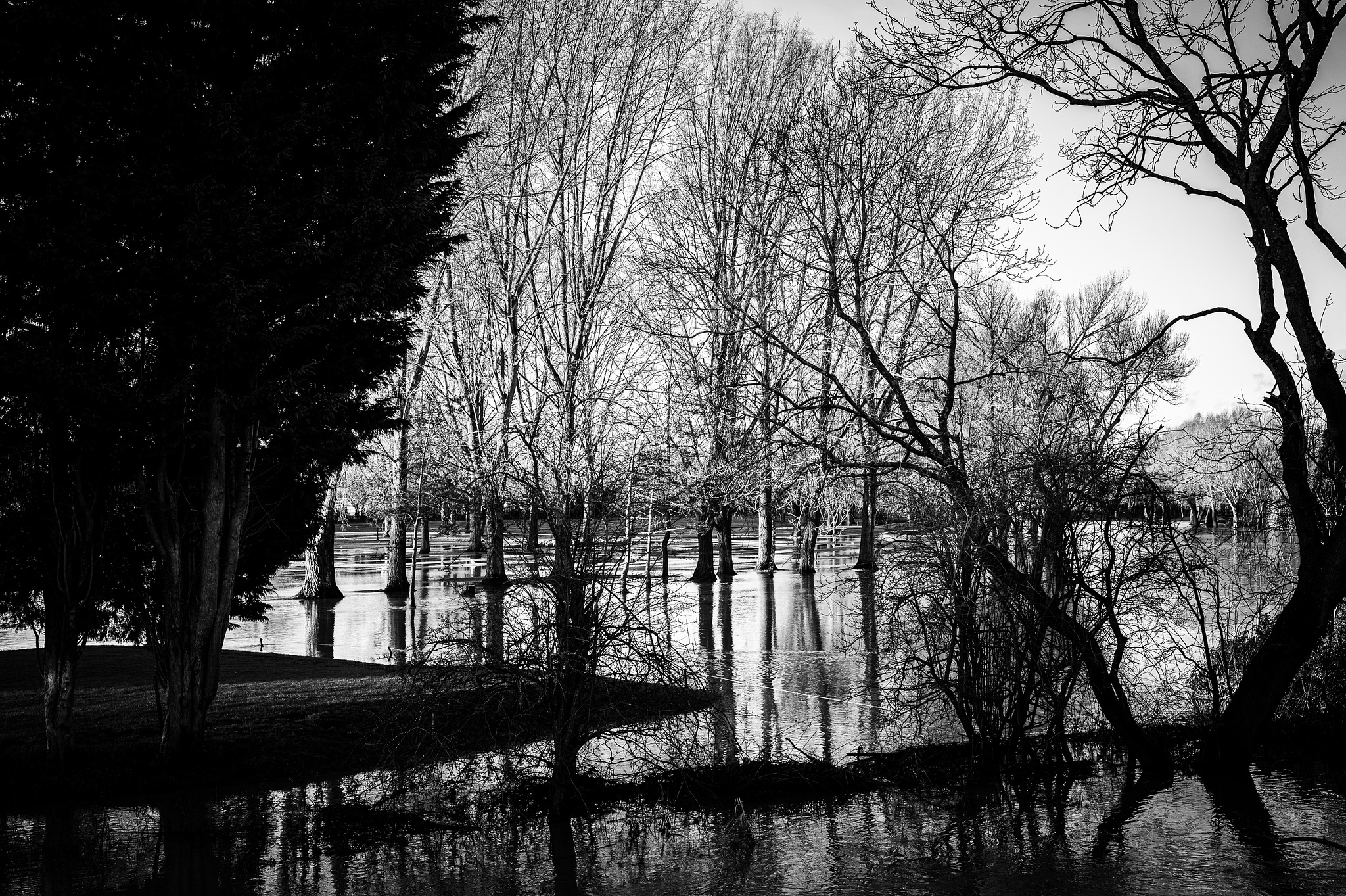 Sowe Valley, Coventry