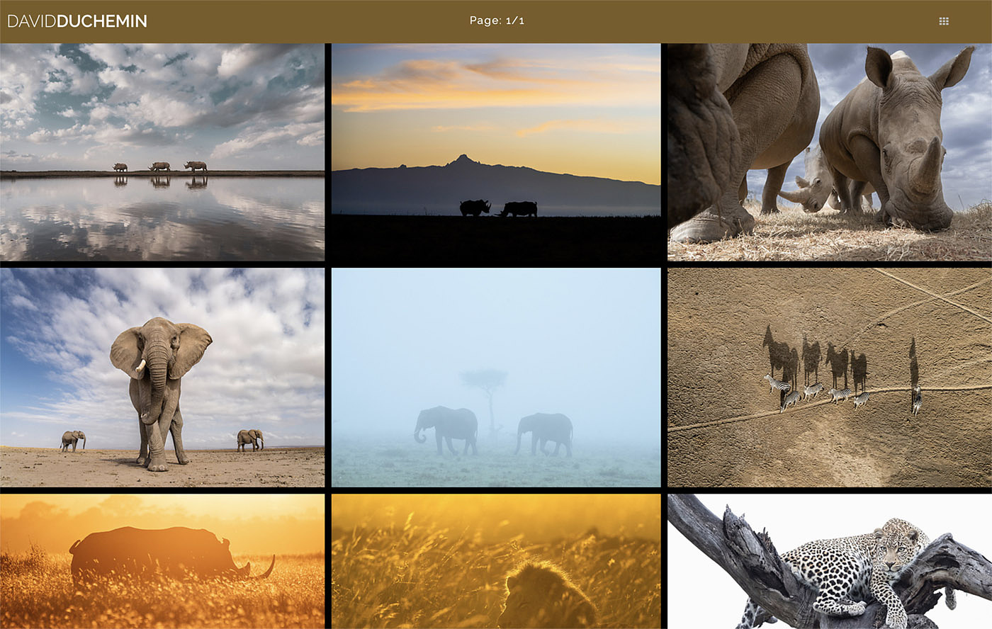 David duChemin's Portfolio