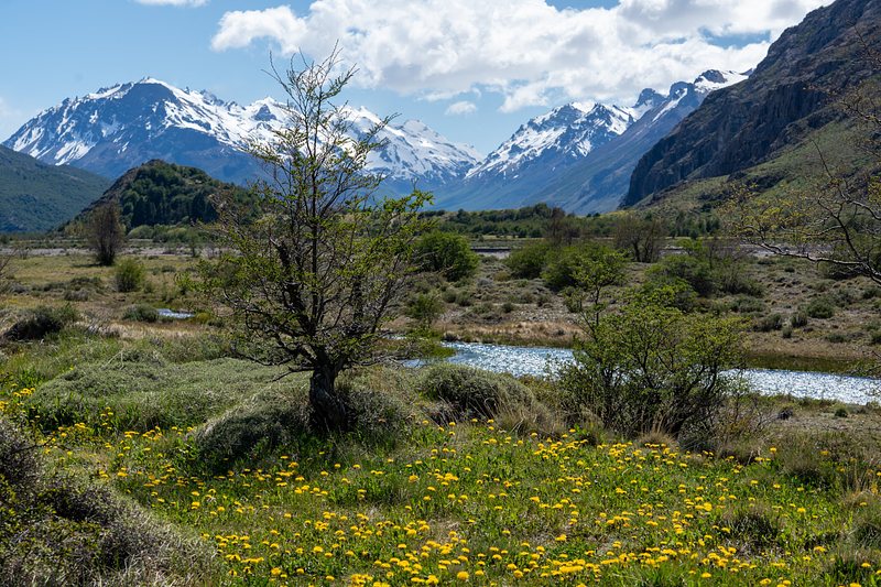Alongside Rio de las Vueltas