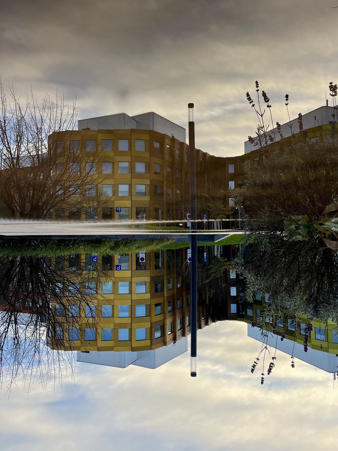 Modern yellow building with many windows, reflected in a puddle. The whole Picture is turned upsidedown.