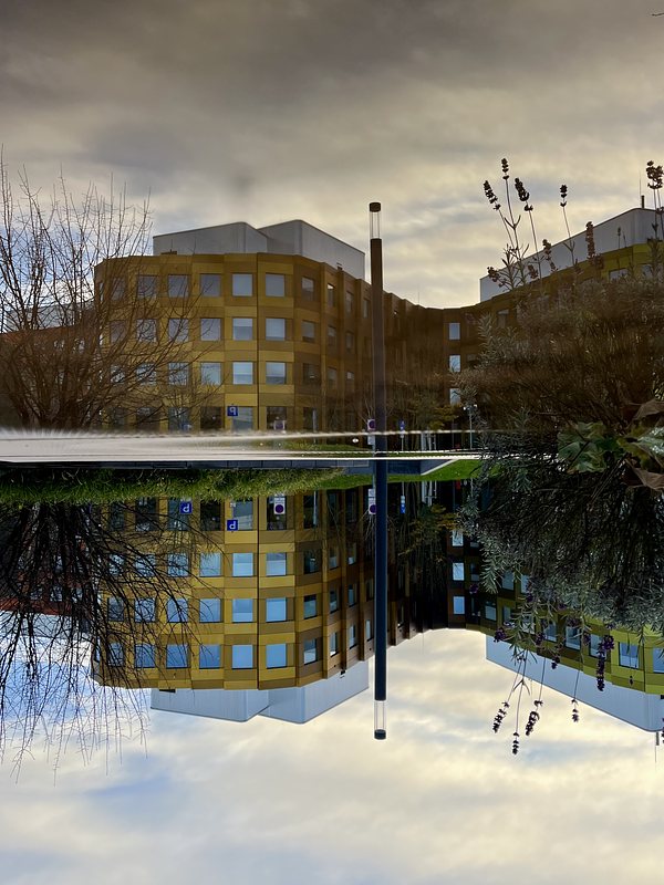 Modern yellow building with many windows, reflected in a puddle. The whole Picture is turned upsidedown.