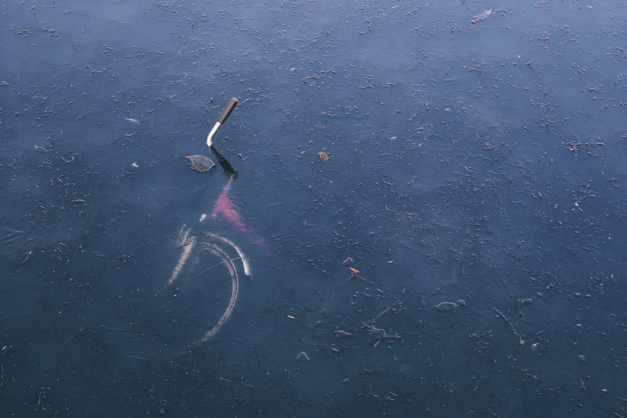 A bicycle is partially submerged in a body of water. Only the handlebars and part of the front wheel are visible above the surface, which is covered with patches of debris and reflections of the sky.