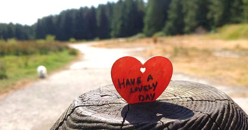 A red, heart shaped piece of card is stuck vetically into a crack in the grain on top of a gate post. The writing in black felt pen on it reads 'Have a lovely day'. The background is out of focus fir plantation woods and a track leading away into it.
