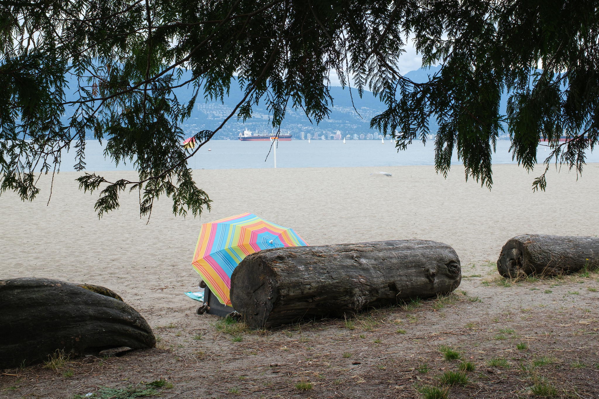 Happy World Photography Day. (Jericho Beach)