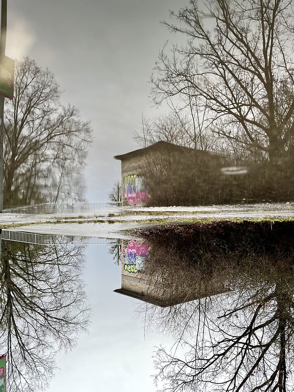 Transformer station and some trees, reflected in a puddle. At the top left corner there is a light reflection. The whole picture is turned upsidedown.