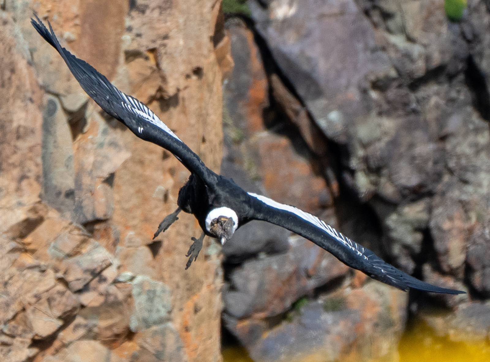 Cyryl on final approach