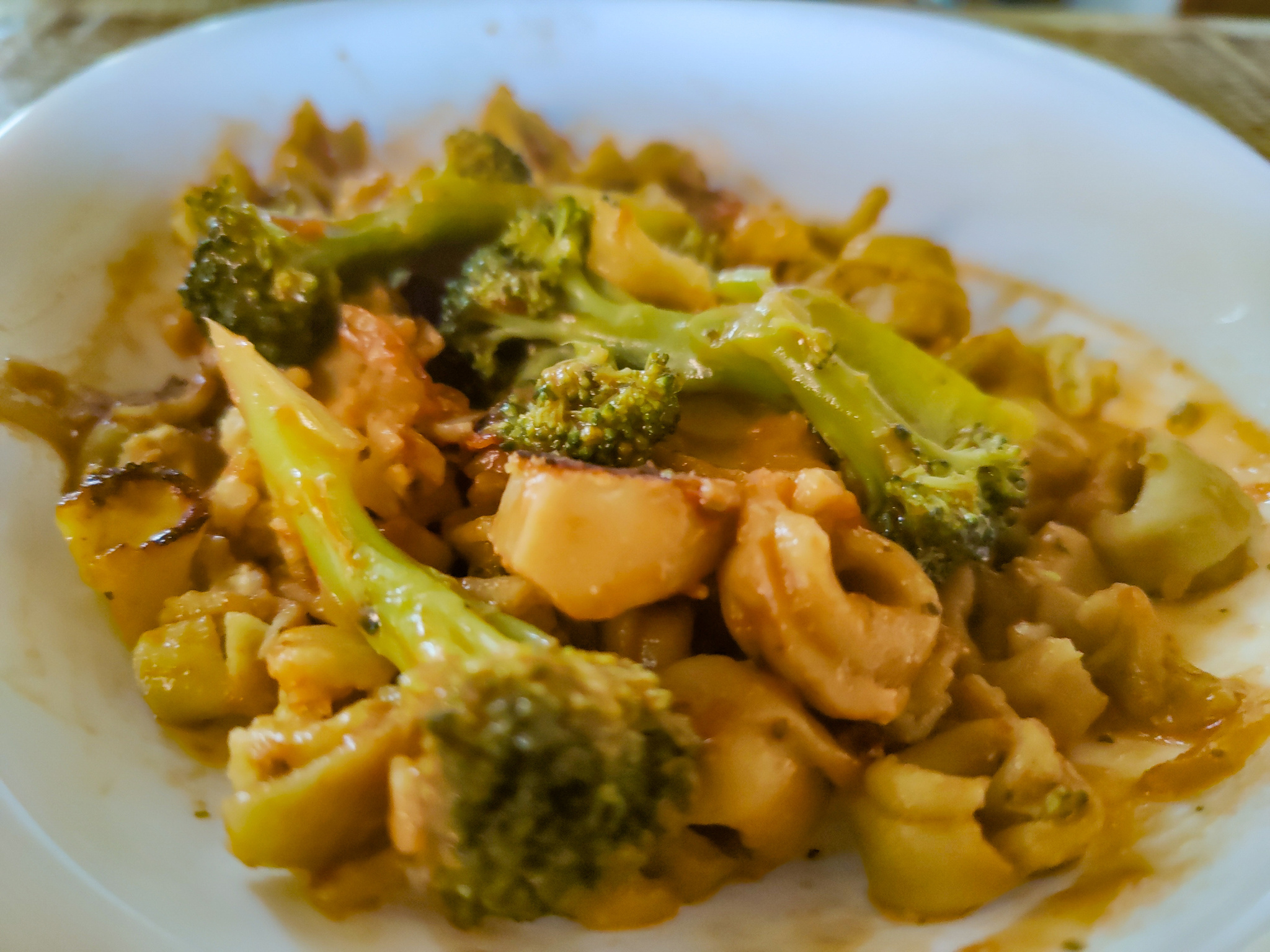 Pasta, tomato sauce, onions and broccoli