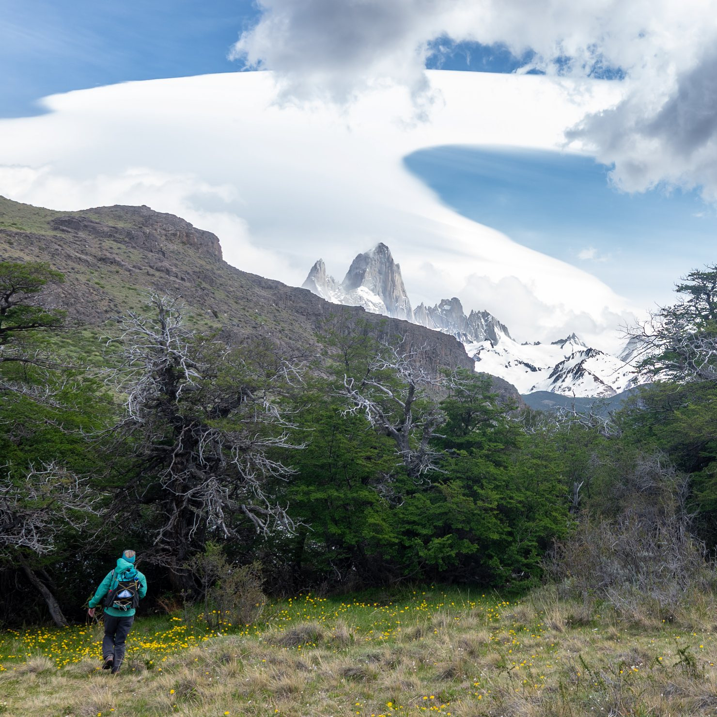 Heading back into the wind