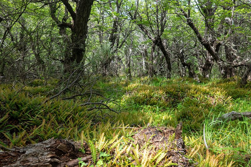 Eastern river valley hike