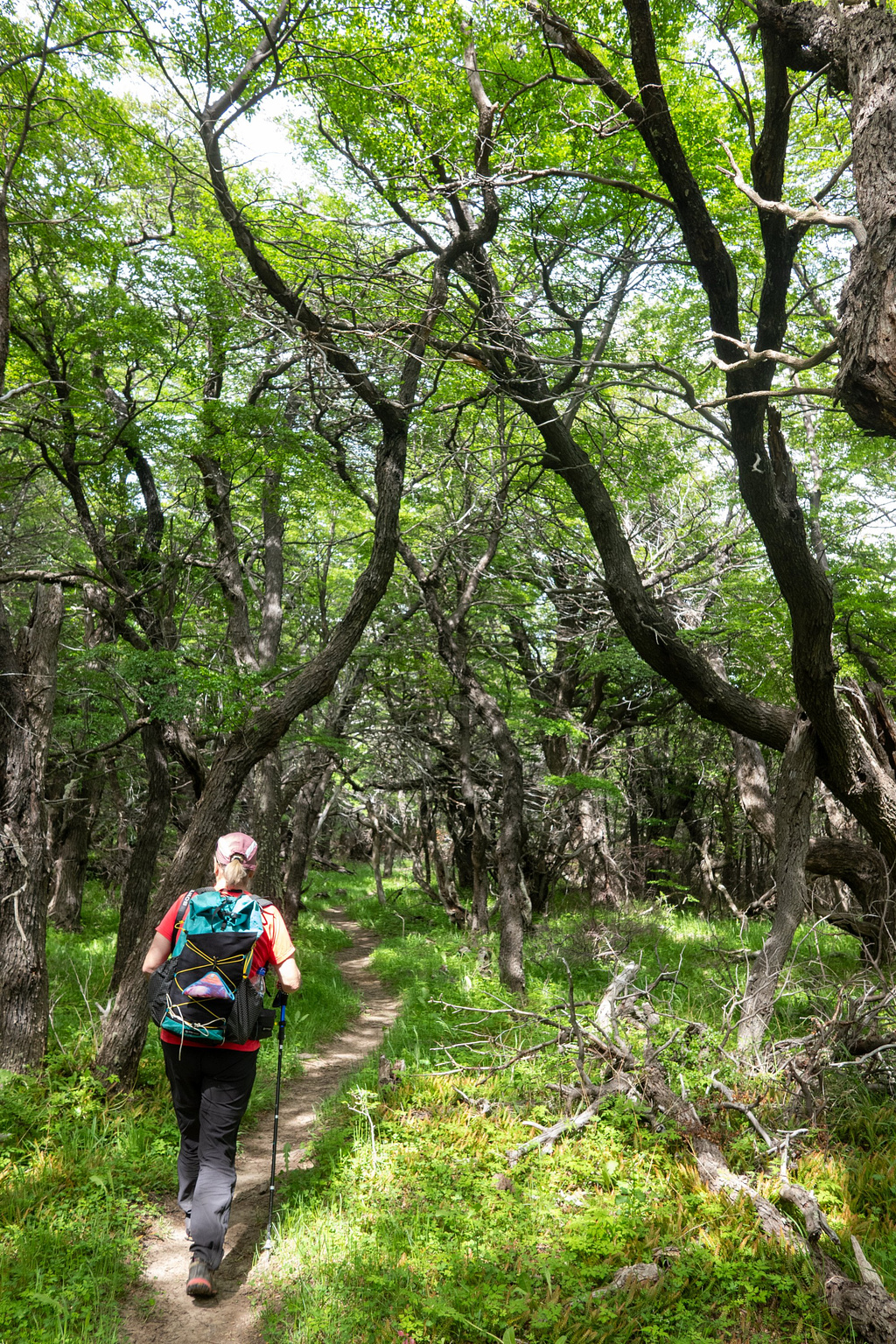 Eastern river valley hike