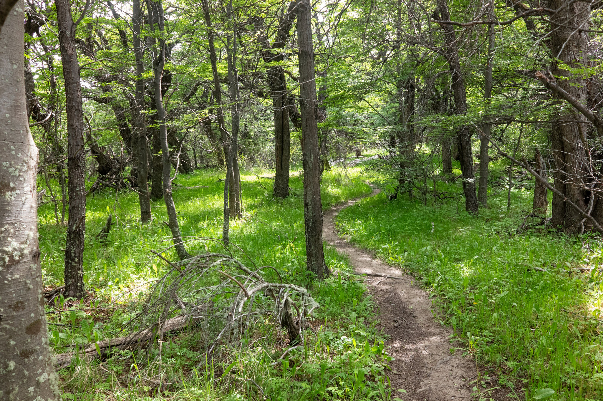 Eastern river valley hike
