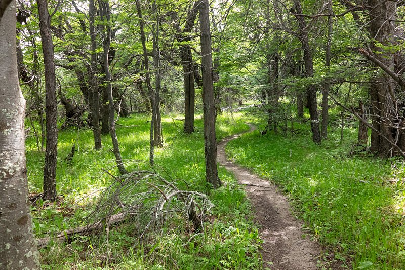 Eastern river valley hike