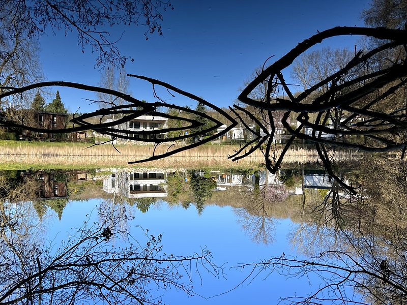 Three modern white House at a Small pond with blue sky above. In the pond there Are some branches of a tree, reaching out of the water. The whole picture is turned upside down.