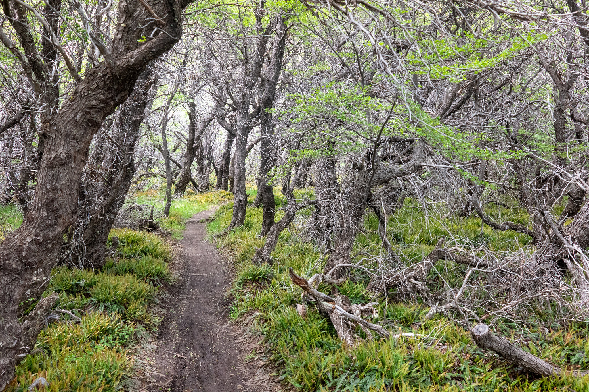 Eastern river valley hike
