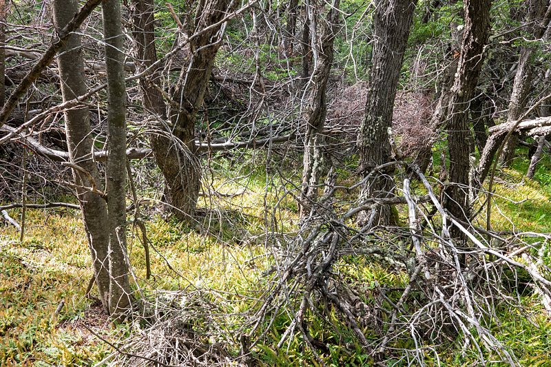 Eastern river valley hike