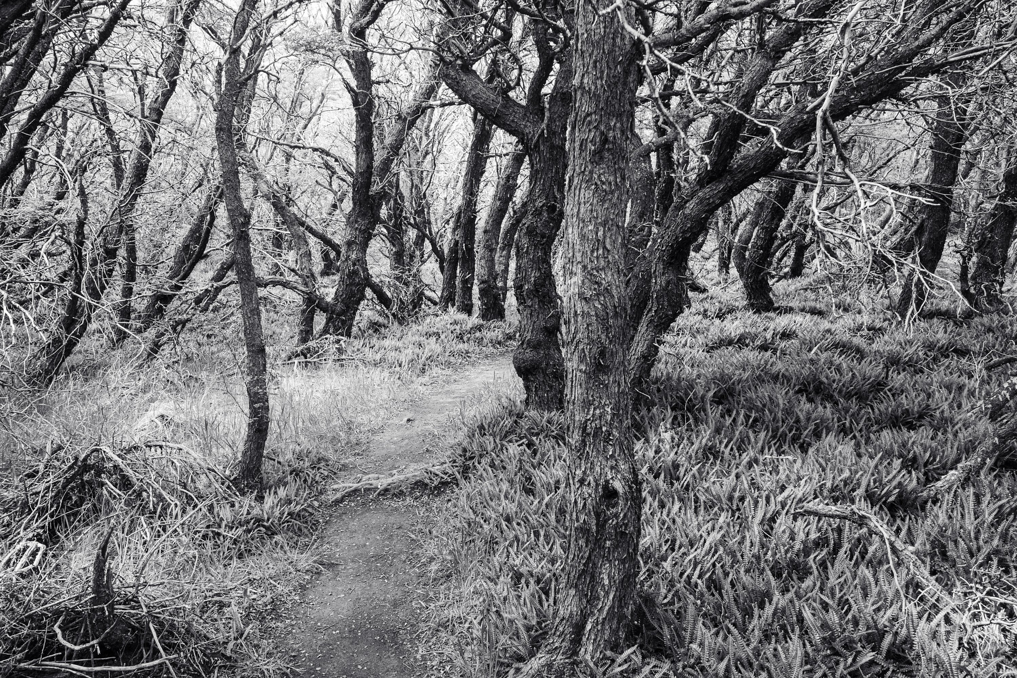 Eastern river valley hike