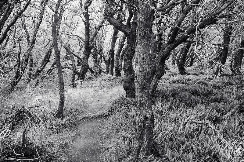 Eastern river valley hike