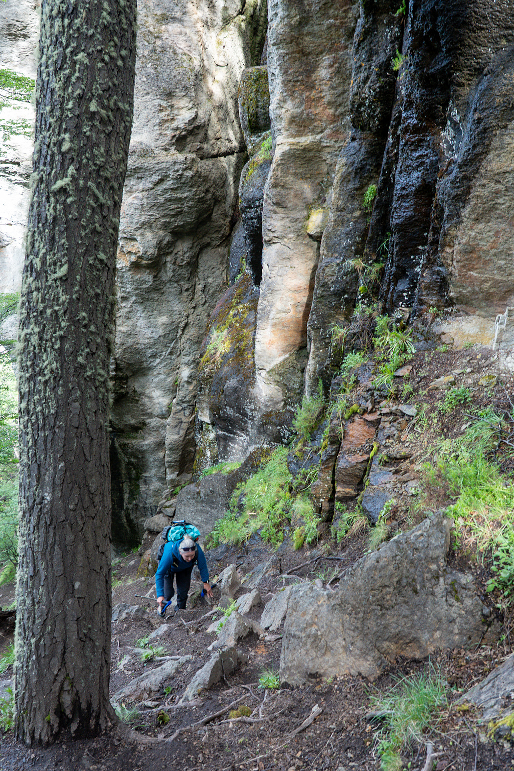Kiersten fighting her way through the woods