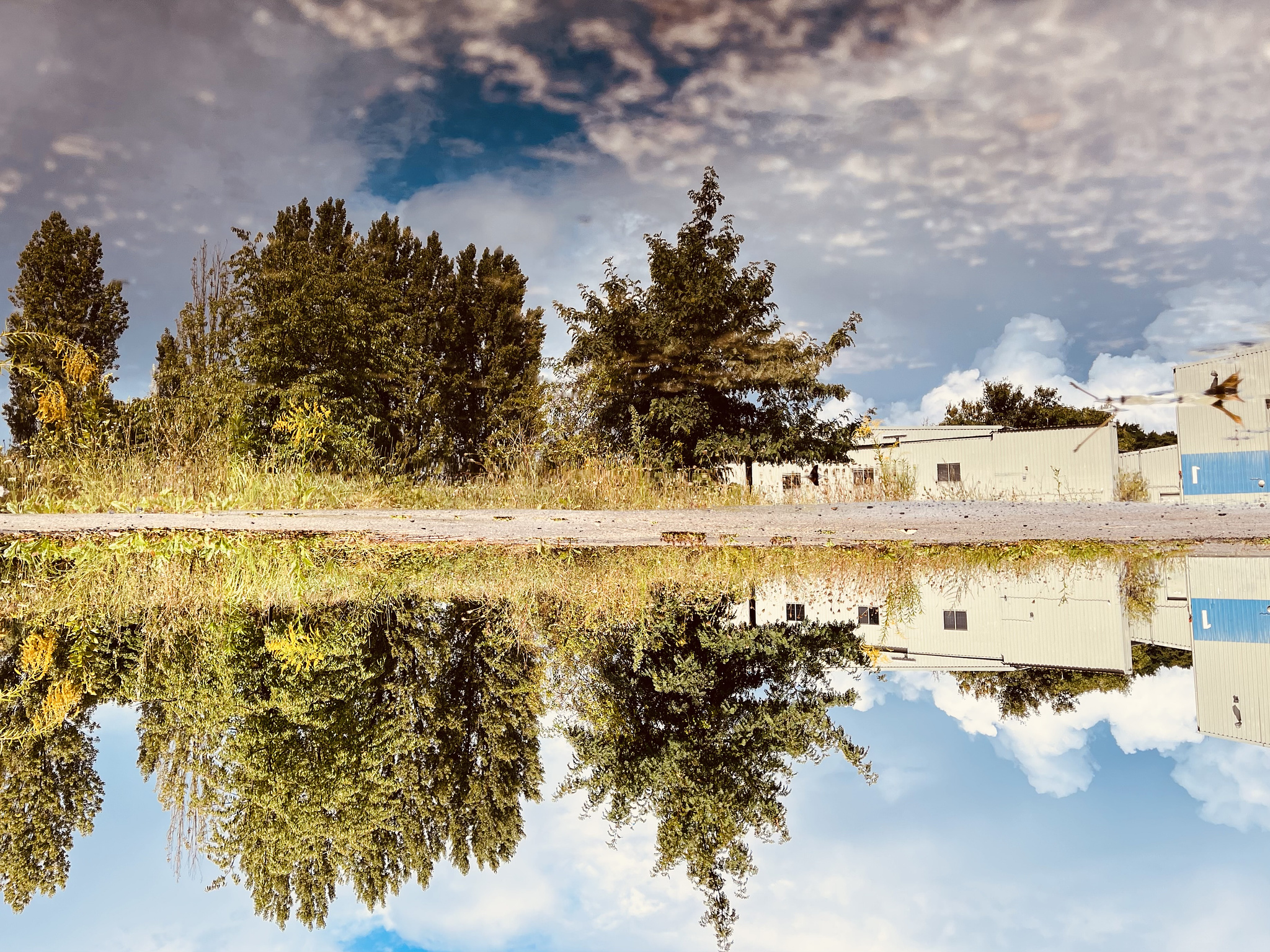 Trees and flat white buildings on a former airport, all reflected in a puddle on asphalt. The whole Picture is turned upsidedown.