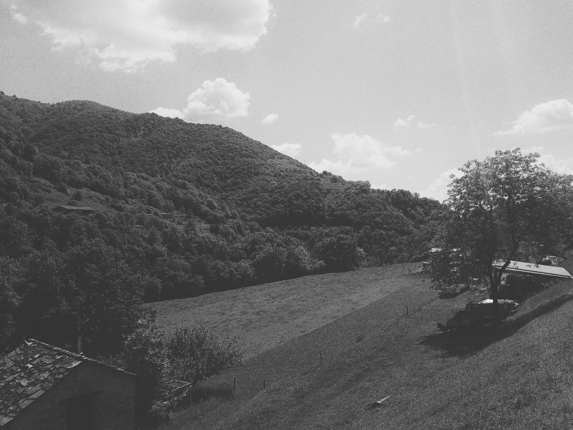 foto in bianco e nero con prati, boschi, cascine e montagne