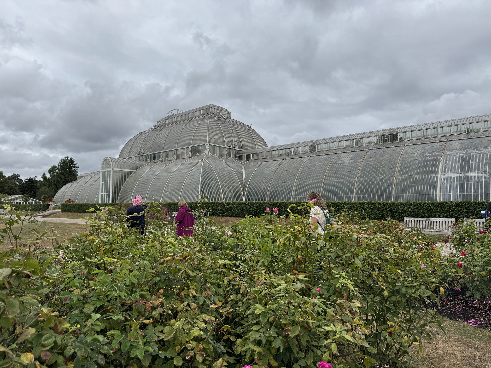 Visited the UK: Palm House, a victorian glass house in Kew Gardens