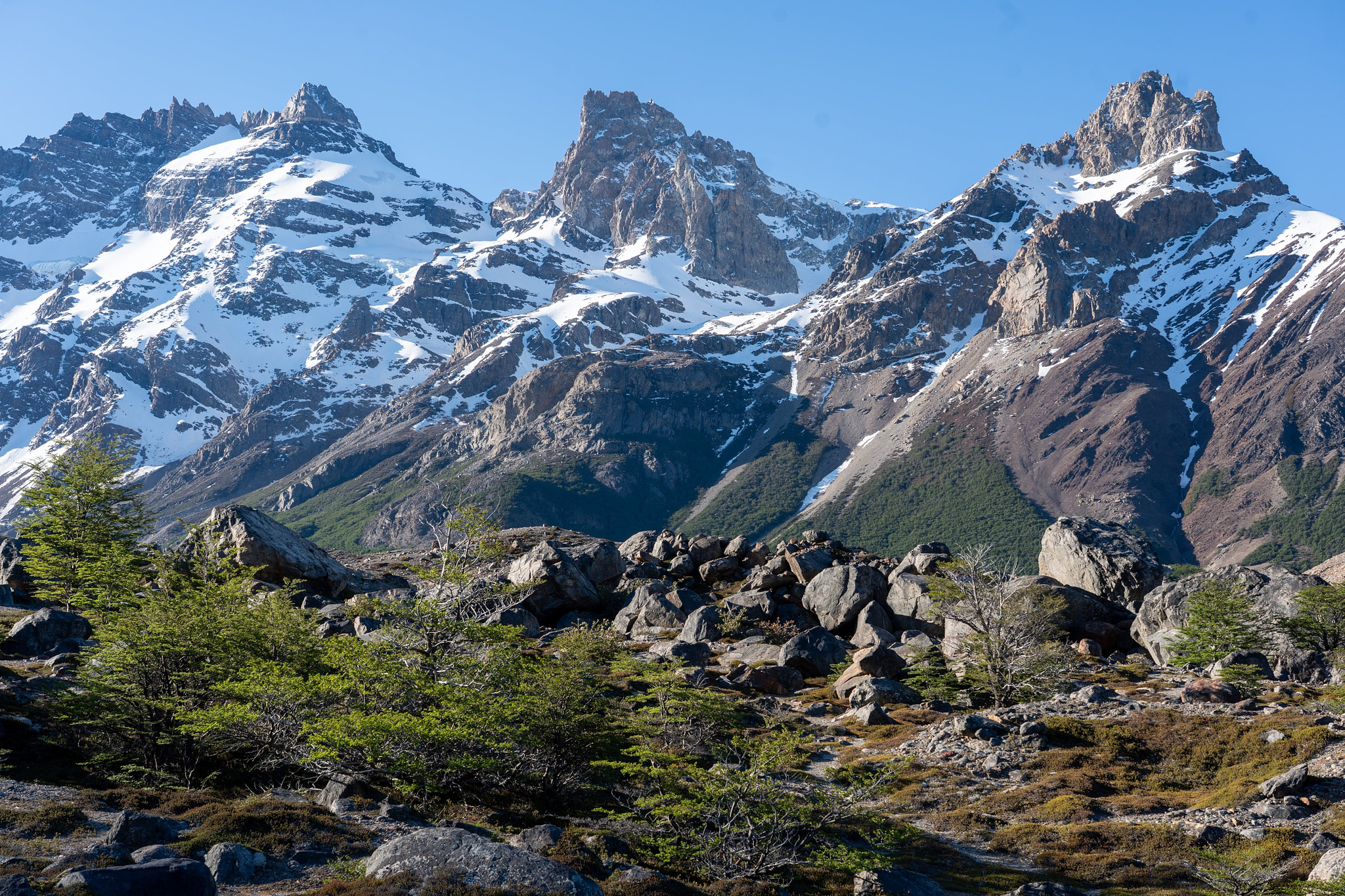 Trail alongside Rio Fitzroy