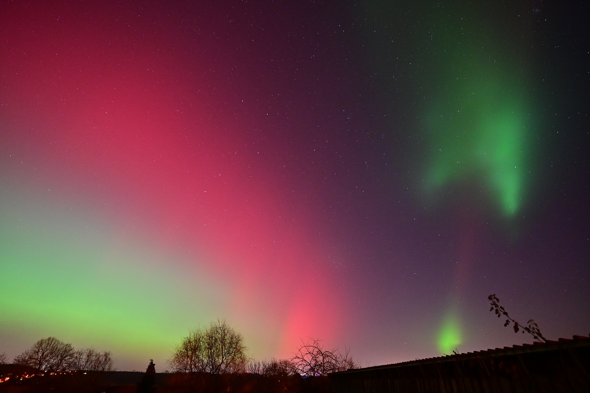 Immer neue Forme und Farben