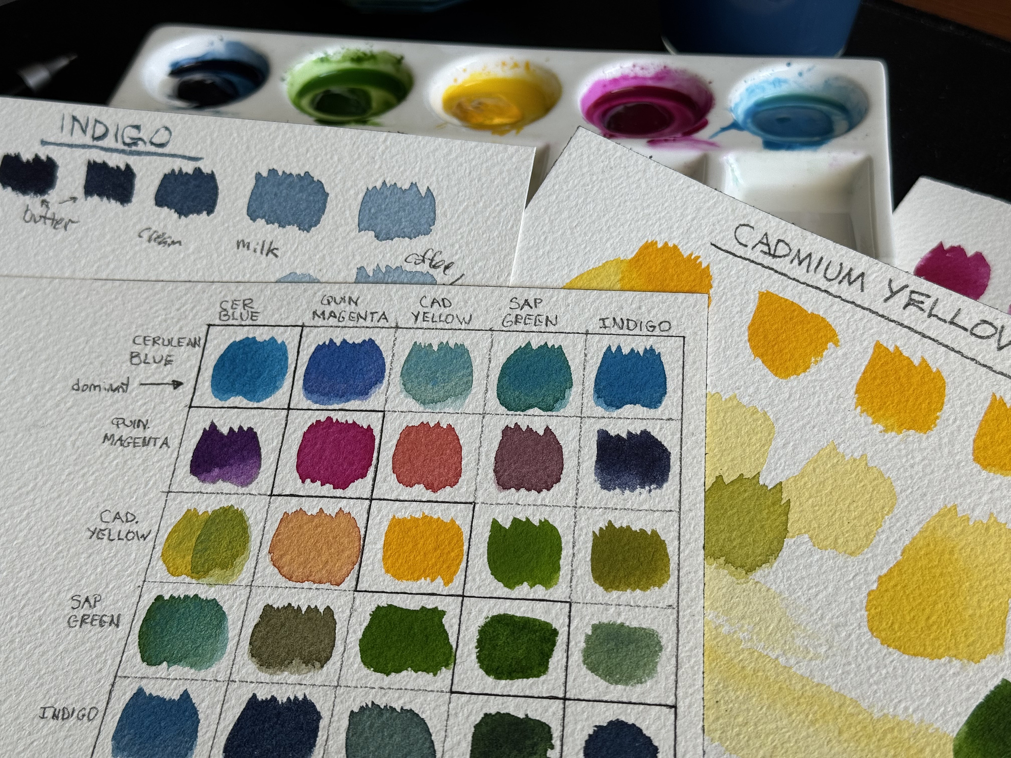 Watercolor Color Chart / Study