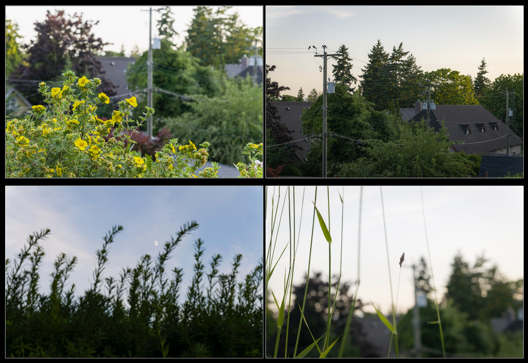 From the deck - Leica SL2 & Sigma 85mm f1.4