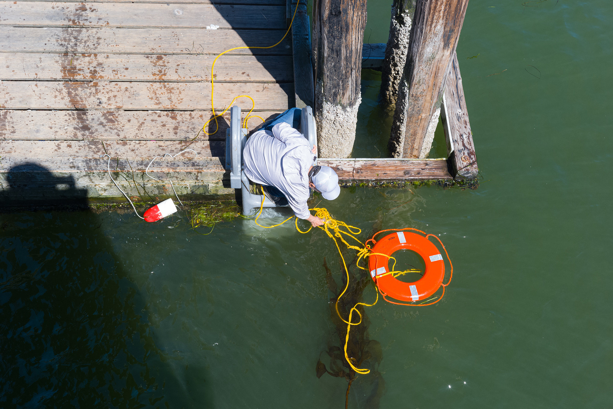 Kelp Retrieval