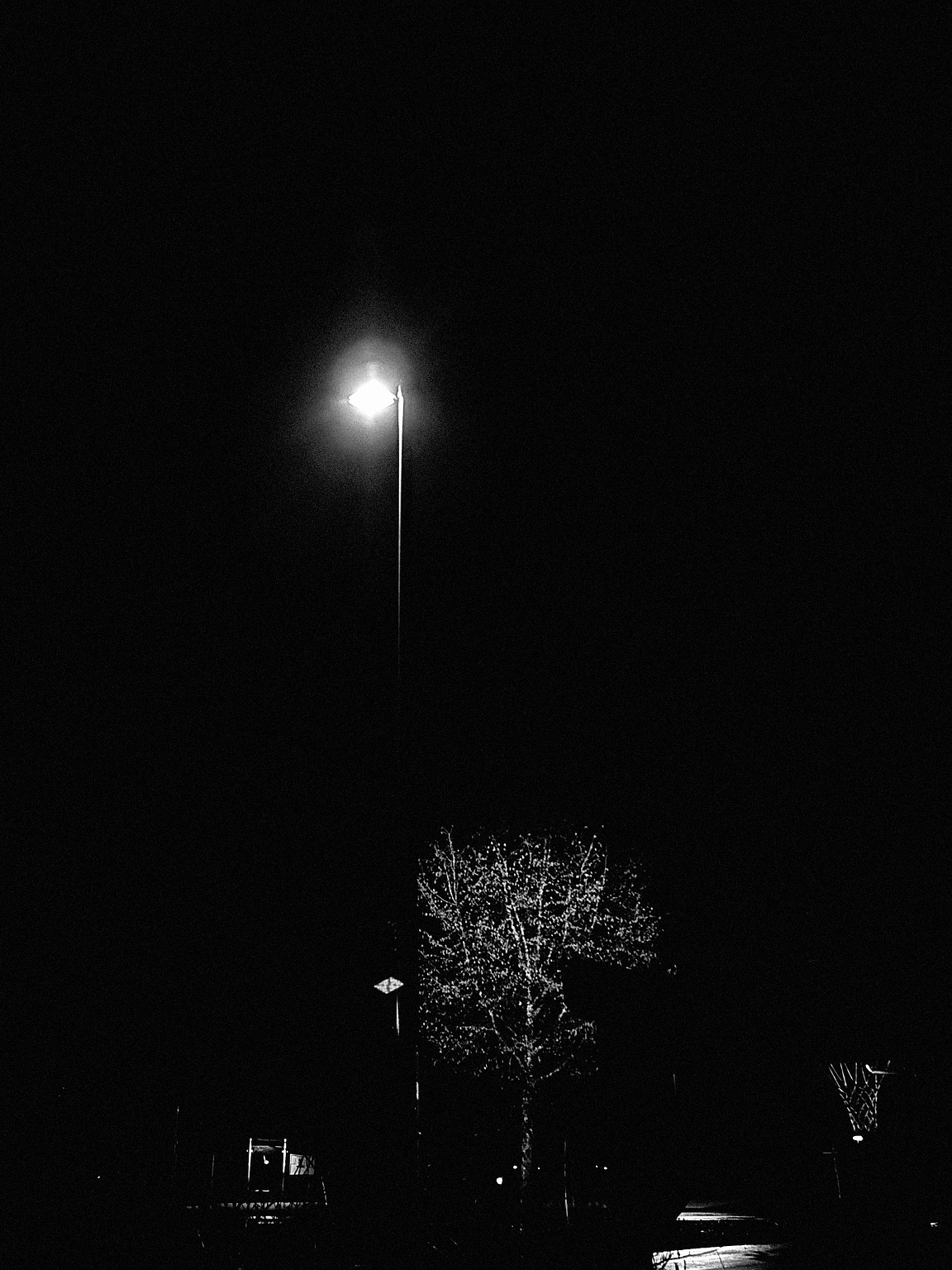A tall streetlight illuminates a small area in an otherwise dark setting. Below, a tree is partially visible, outlined by the light. The rest of the scene is shrouded in darkness, creating a stark contrast between the illuminated objects and the surrounding night.
