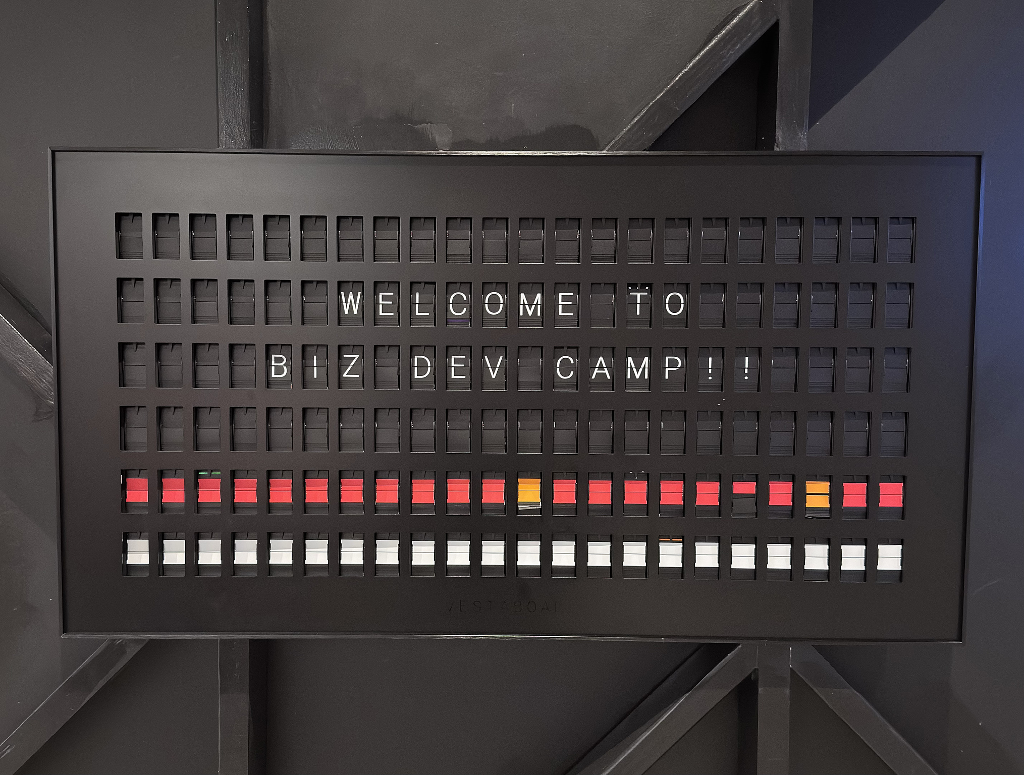 Biz Dev Camp