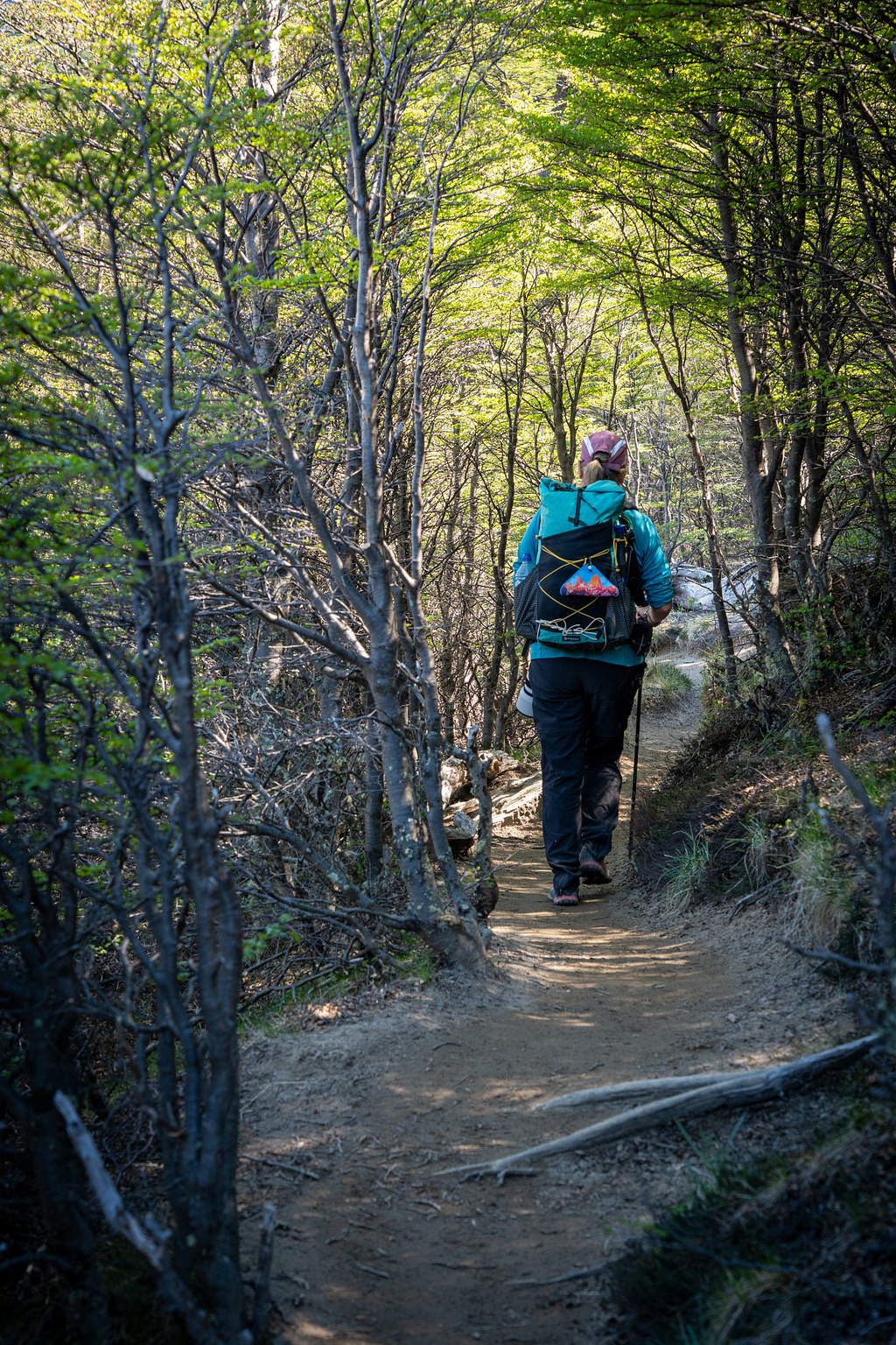 Well maintained trails