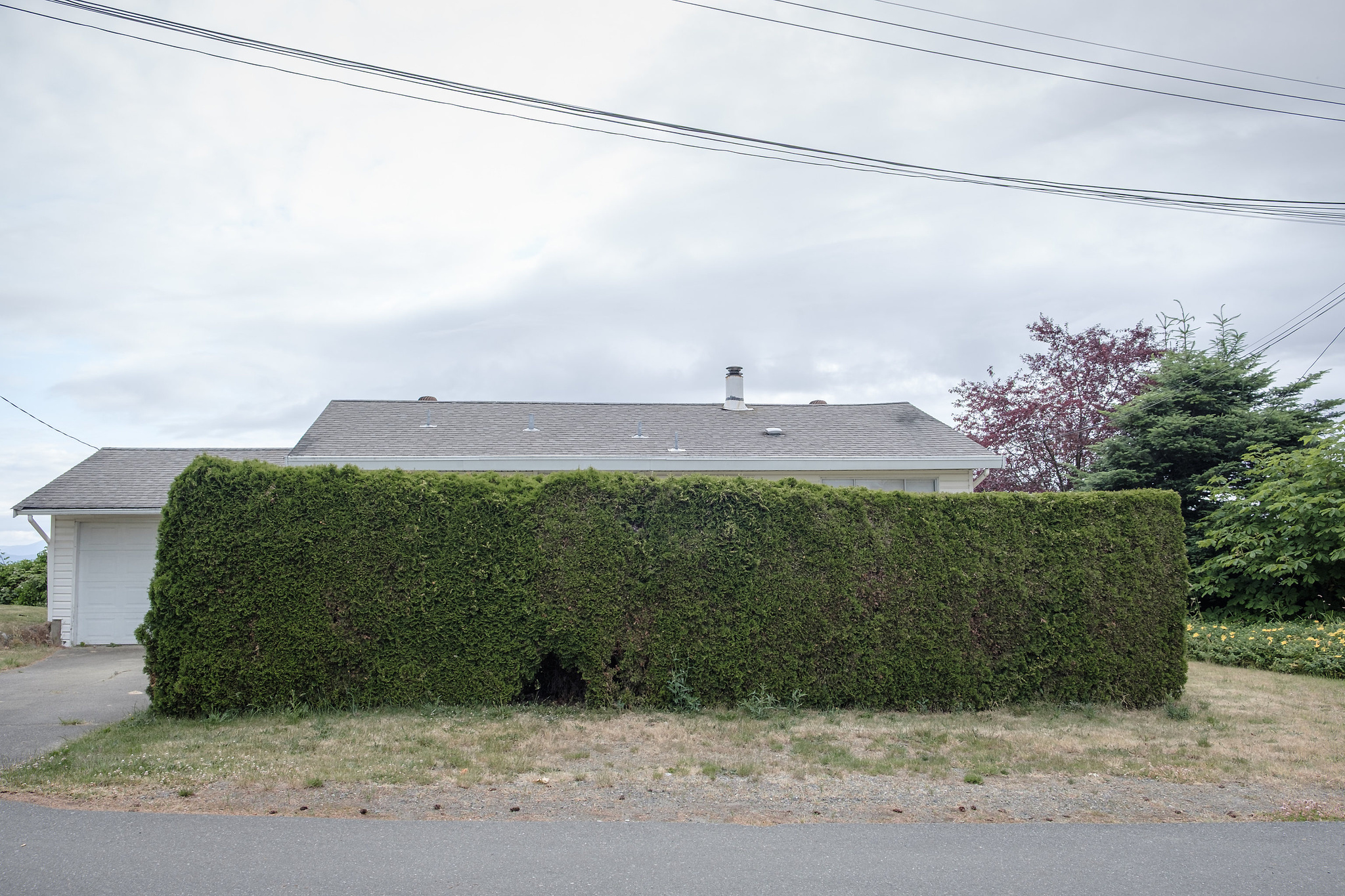 Hedged
