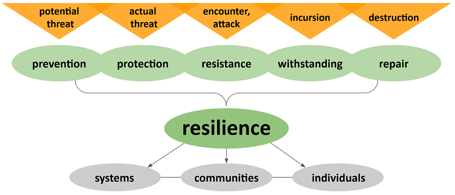 The Resilience of Open Science in Times of Crisis