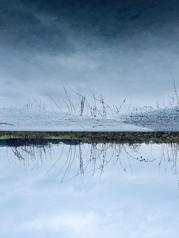 Puddle, Field and sky reflection in puddle. The picture is turned upside down.