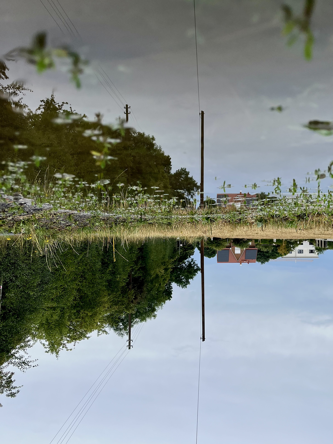 Bushes, two houses, and a power pole, all reflected in a puddle on an asphalt path. The whole Picture is turned upsidedown.