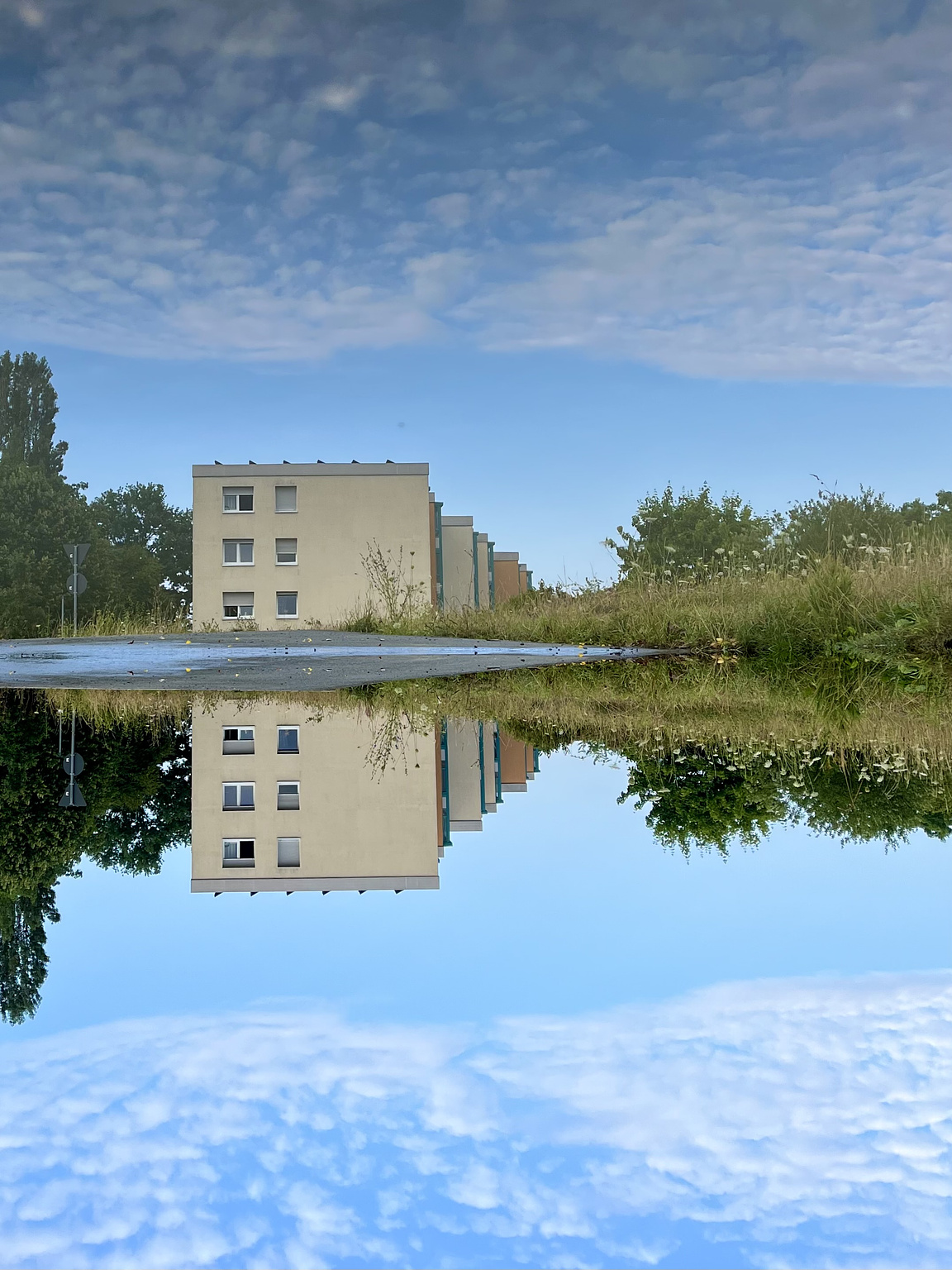 Trees, bushes, a street light and a 3-storey yellow building, all reflected in a puddle on the street. Light blue sky with wihte clouds. The whole picture is turned upside down. 