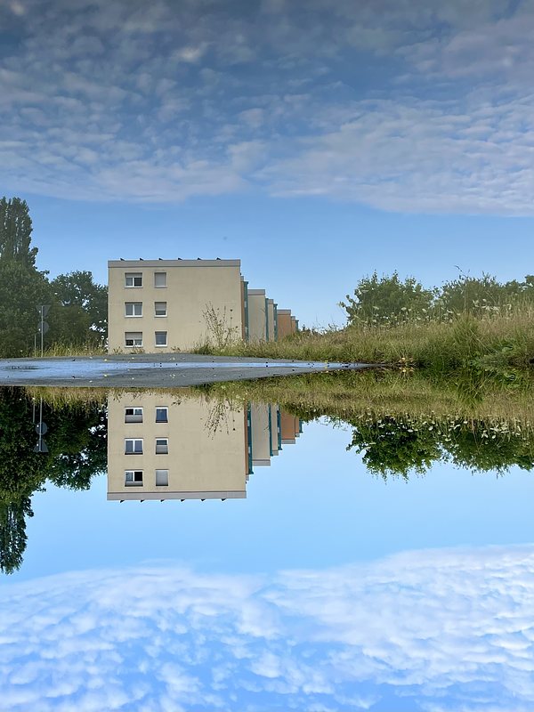 Trees, bushes, a street light and a 3-storey yellow building, all reflected in a puddle on the street. Light blue sky with wihte clouds. The whole picture is turned upside down. 