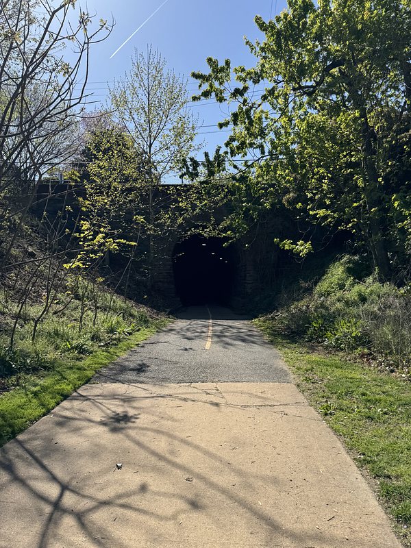 path leading to a tunnel surrounded by trees and bushes